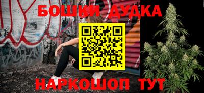 сатива Усть-Илимск