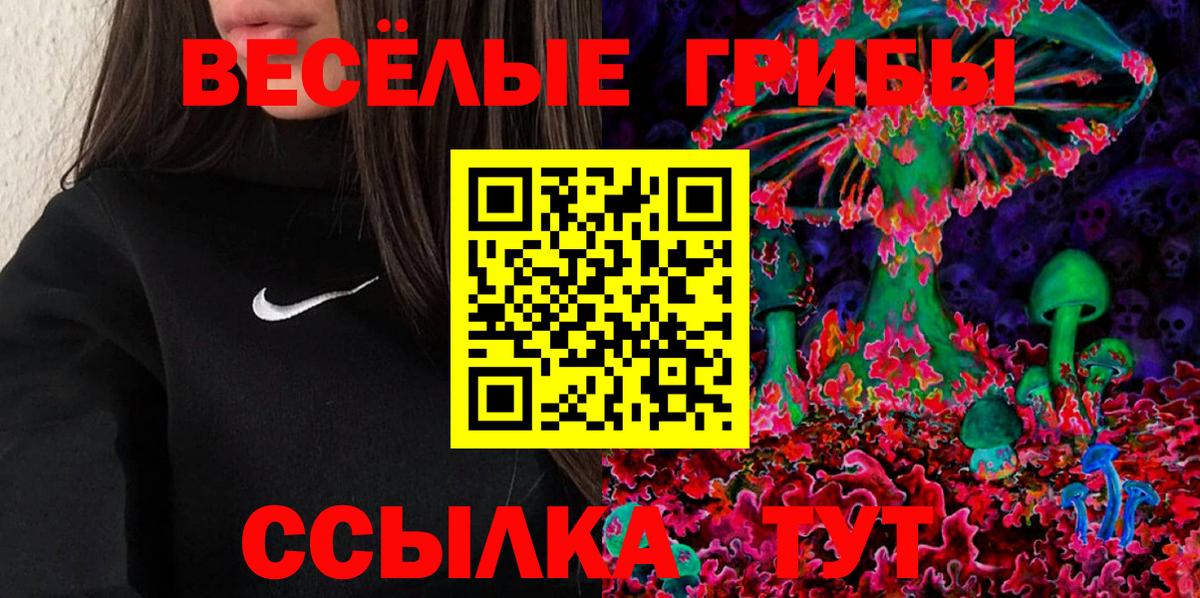 Псилоцибиновые грибы мицелий Богородск