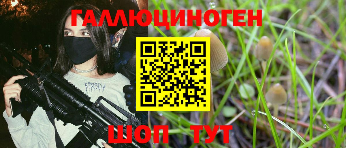 Богородск  Псилоцибиновые грибы GOLDEN TEACHER  Вход с VPN  Галлюциногенные грибы Magic Shrooms 